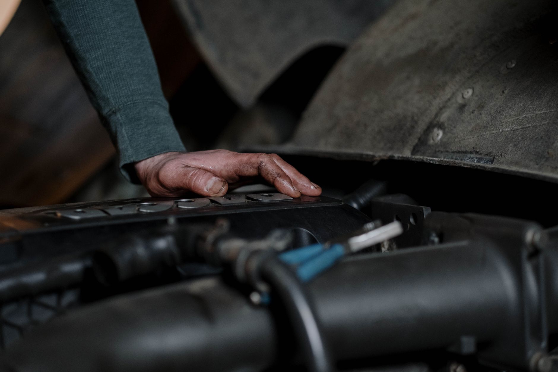 Seasonal Service Call – Live Oak